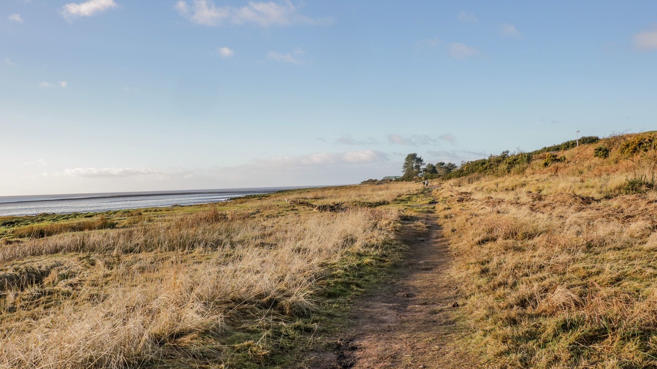 Photo of Others in Cummertrees