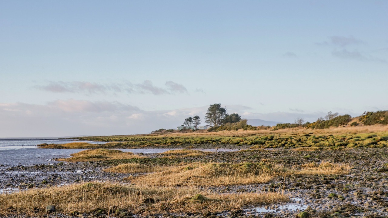 Photo of Others in Cummertrees