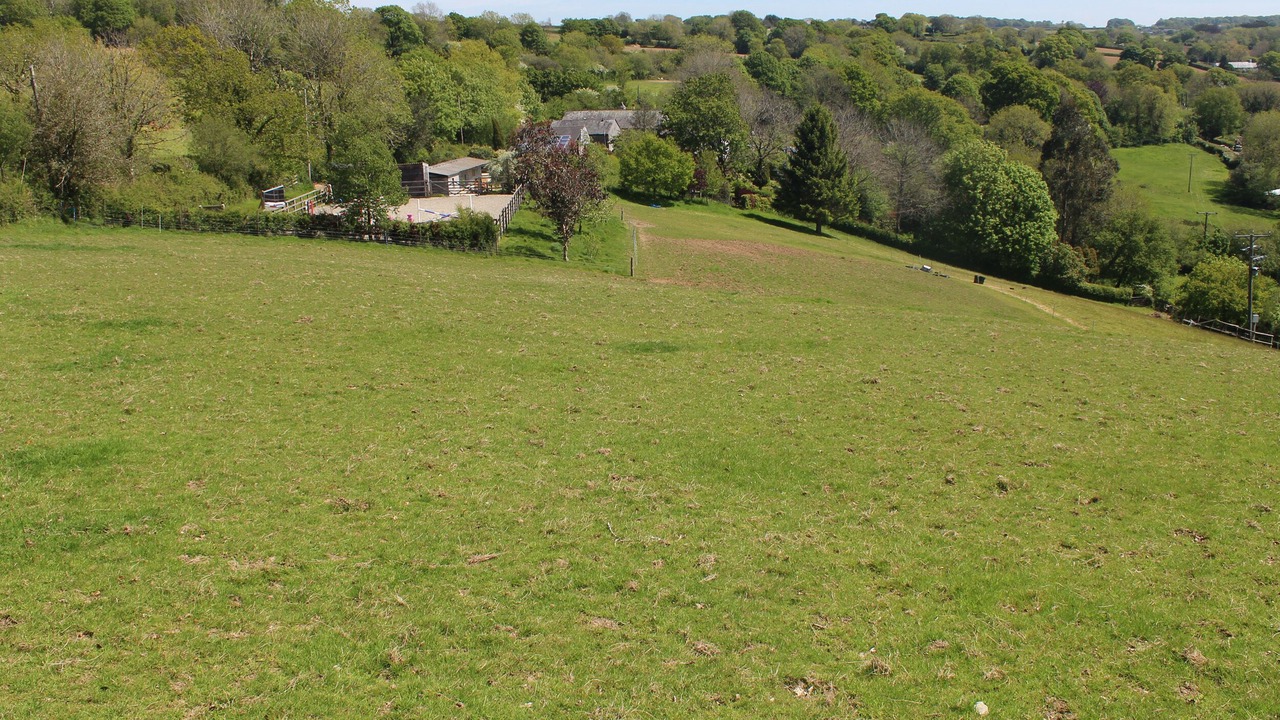 Photo of Others in Morwellham