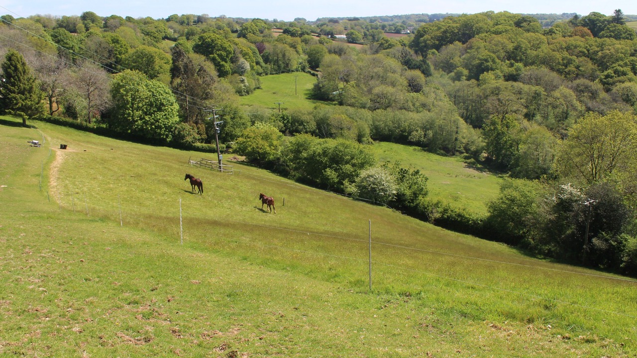 Photo of Others in Morwellham