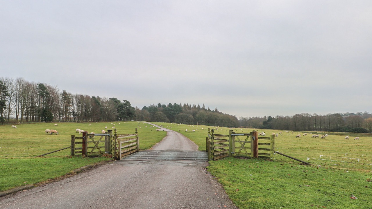 Photo of Others in Macclesfield