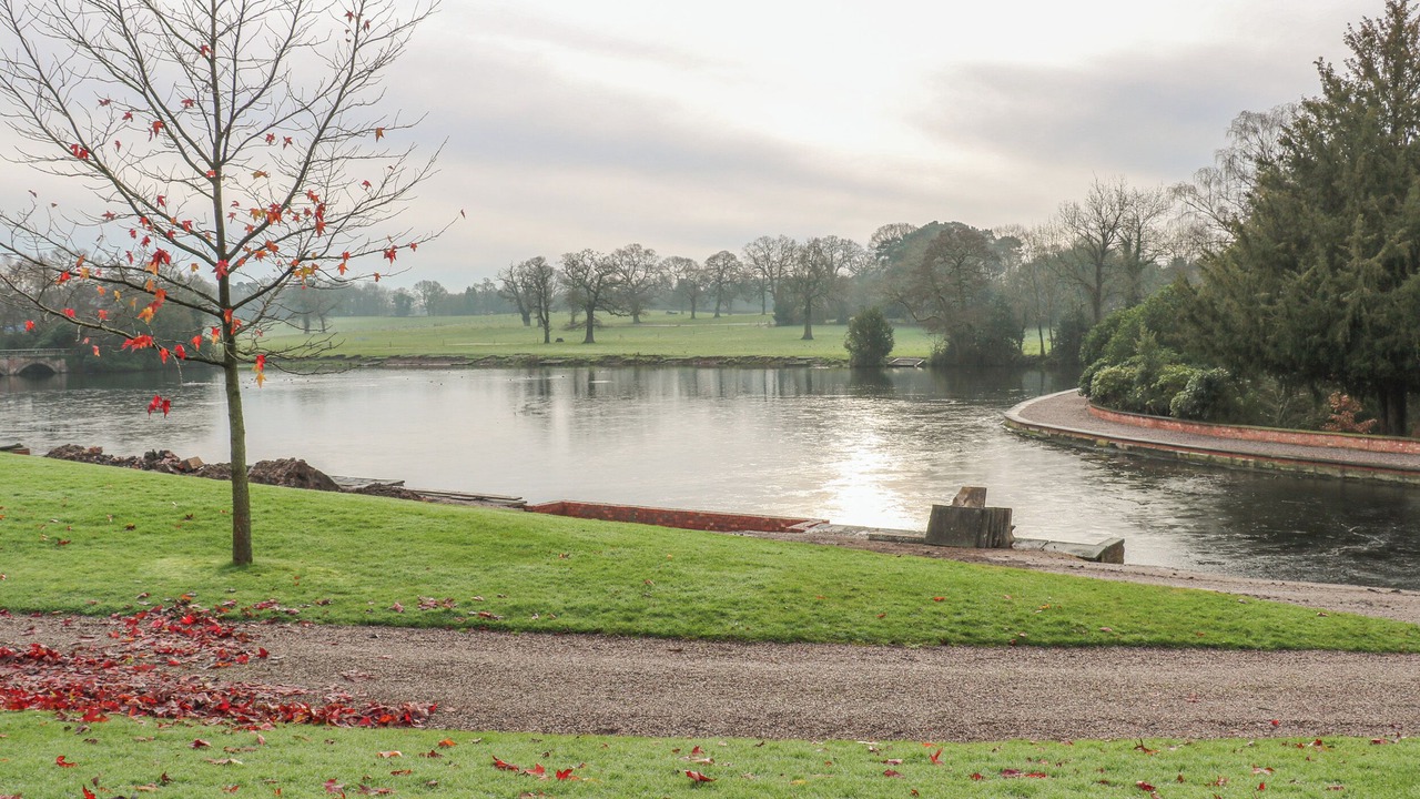 Photo of Others in Macclesfield