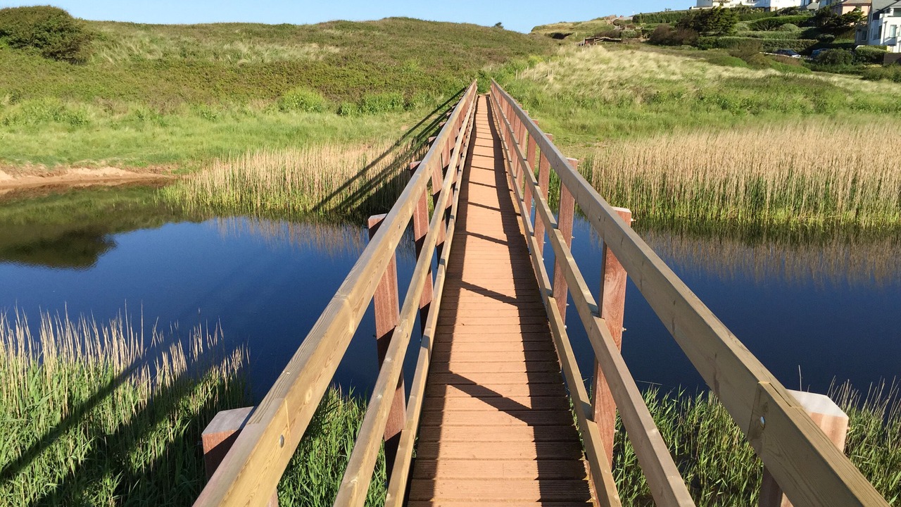 Photo of Others in Thurlestone