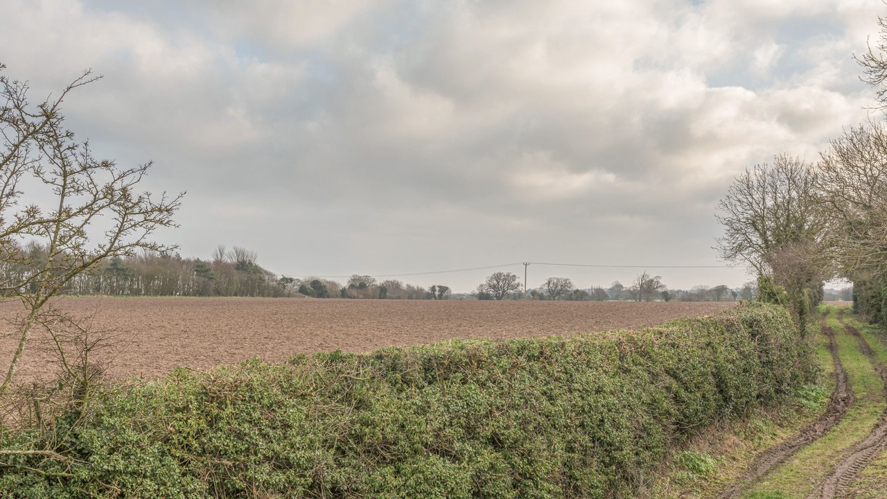 Photo of Others in North Walsham