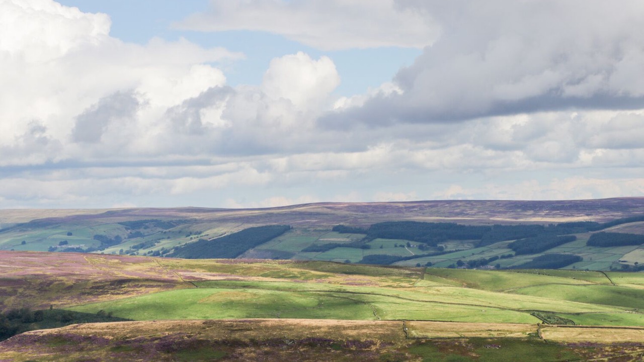 Photo of Others in Pateley Bridge