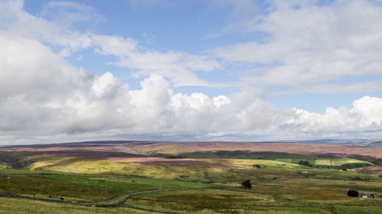 Photo of Others in Pateley Bridge