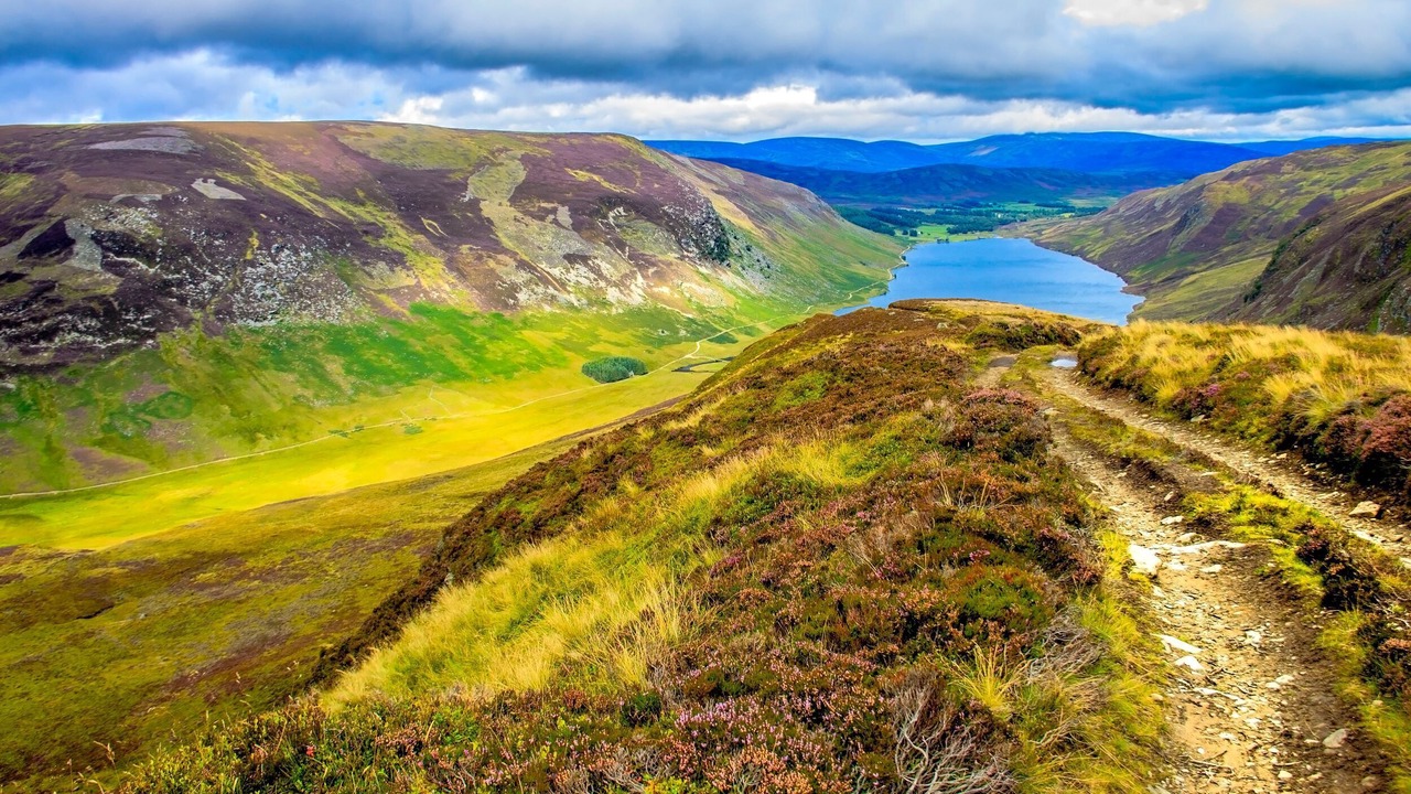 Photo of Others in Alvie