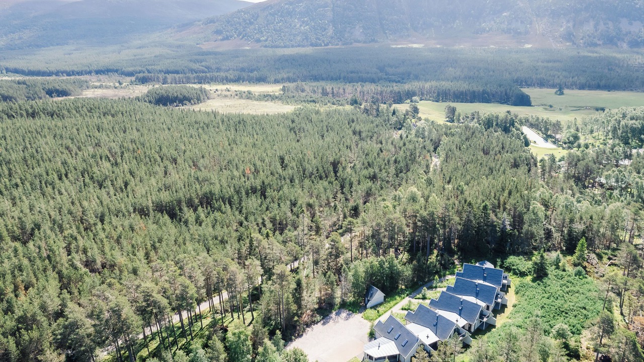 Photo of Others in Alvie