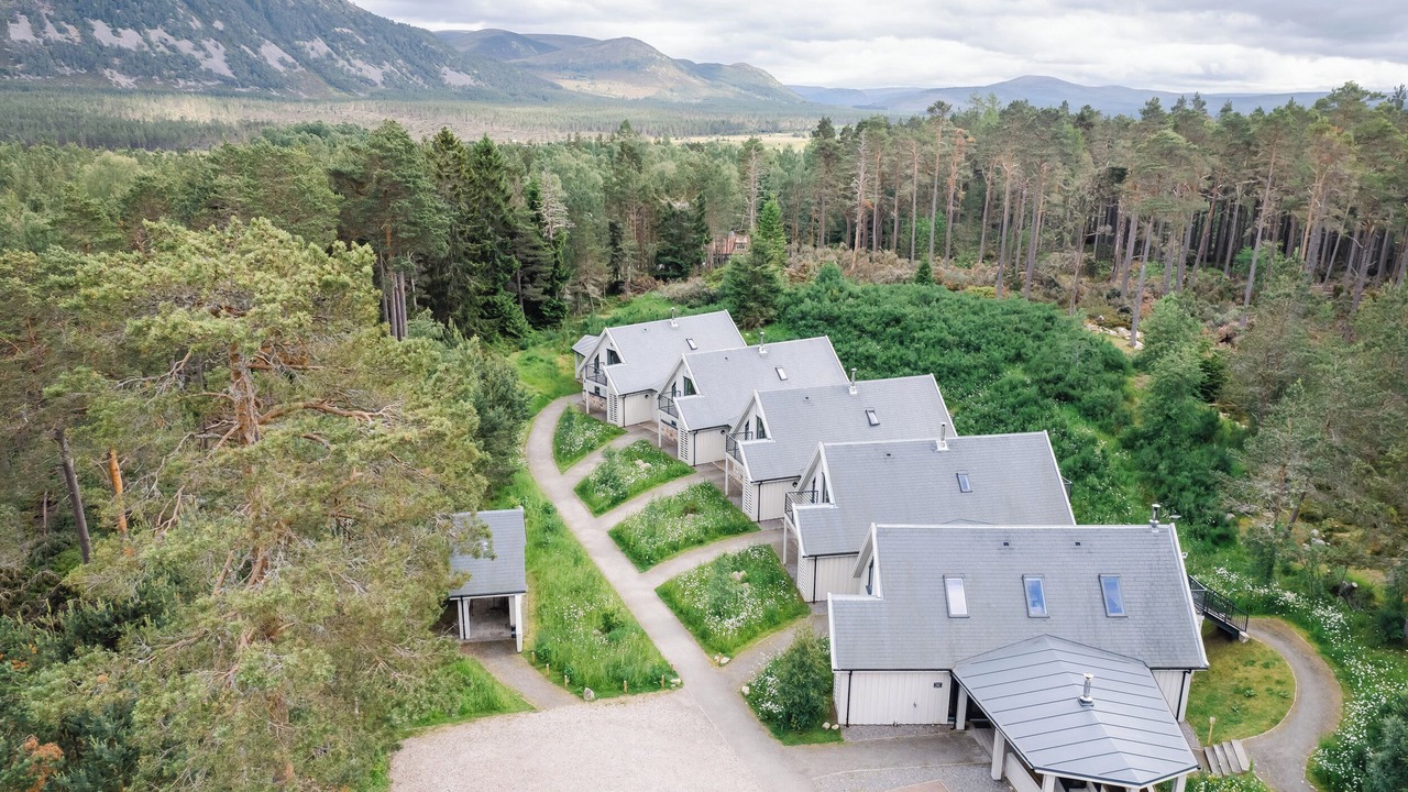 Photo of Others in Alvie