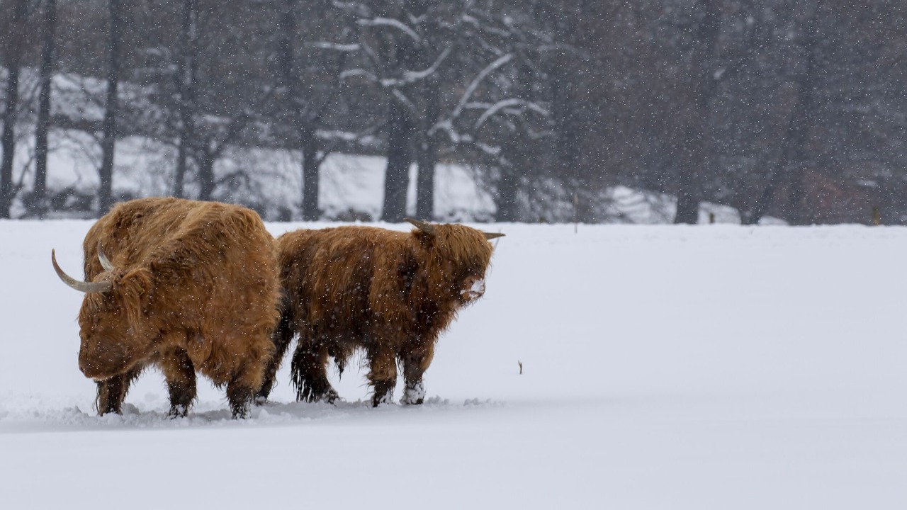 Photo of Others in Alvie