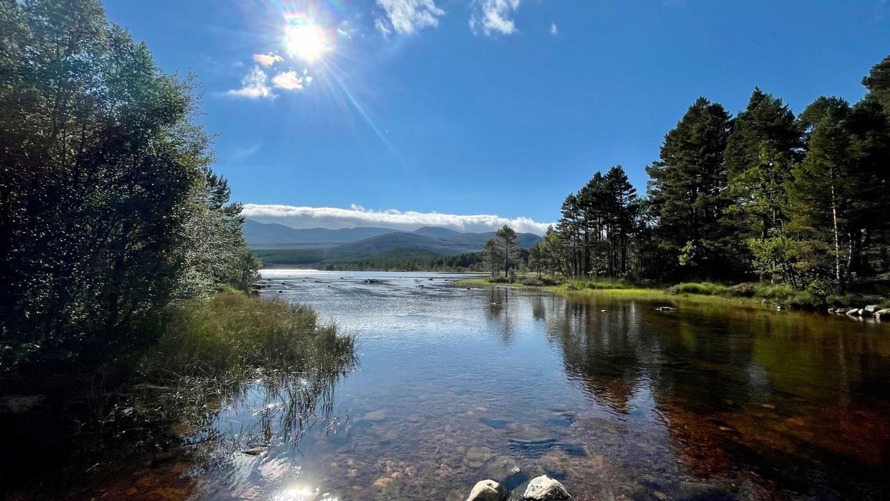 Photo of Others in Alvie