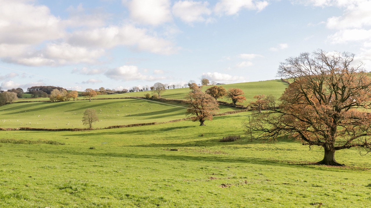 Photo of Others in Llanfair Caereinion