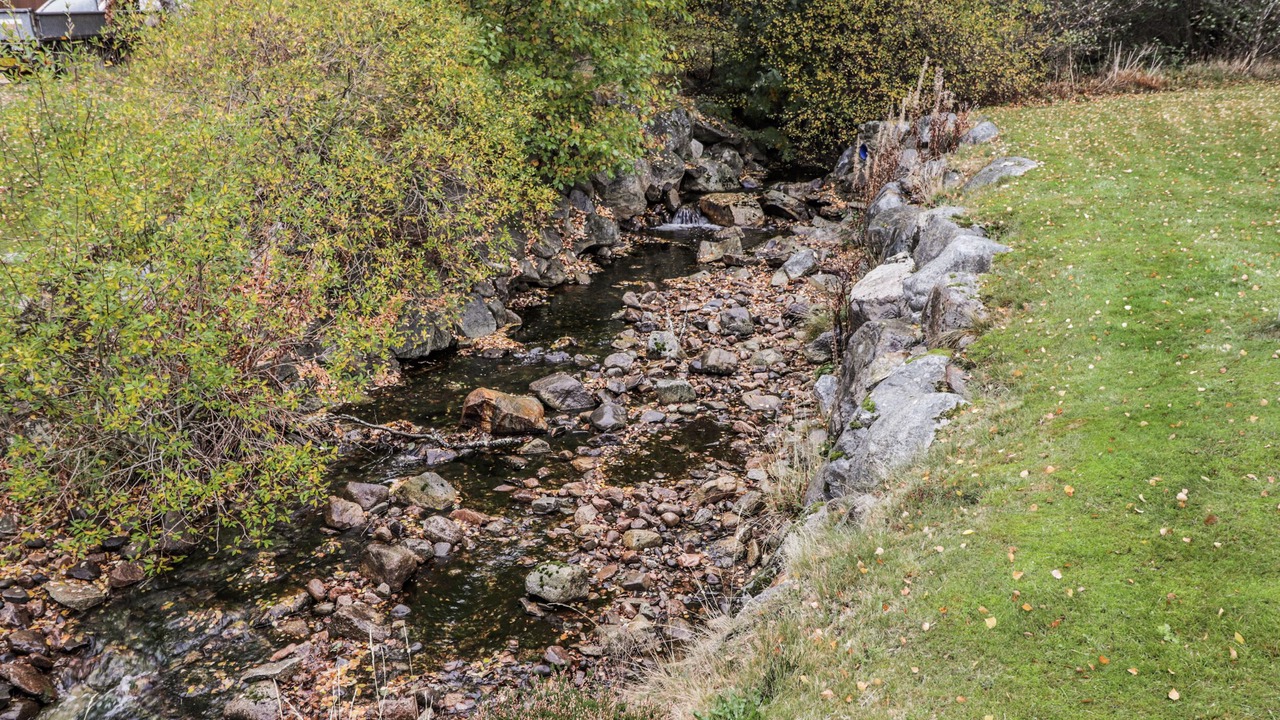 Photo of Others in Aviemore