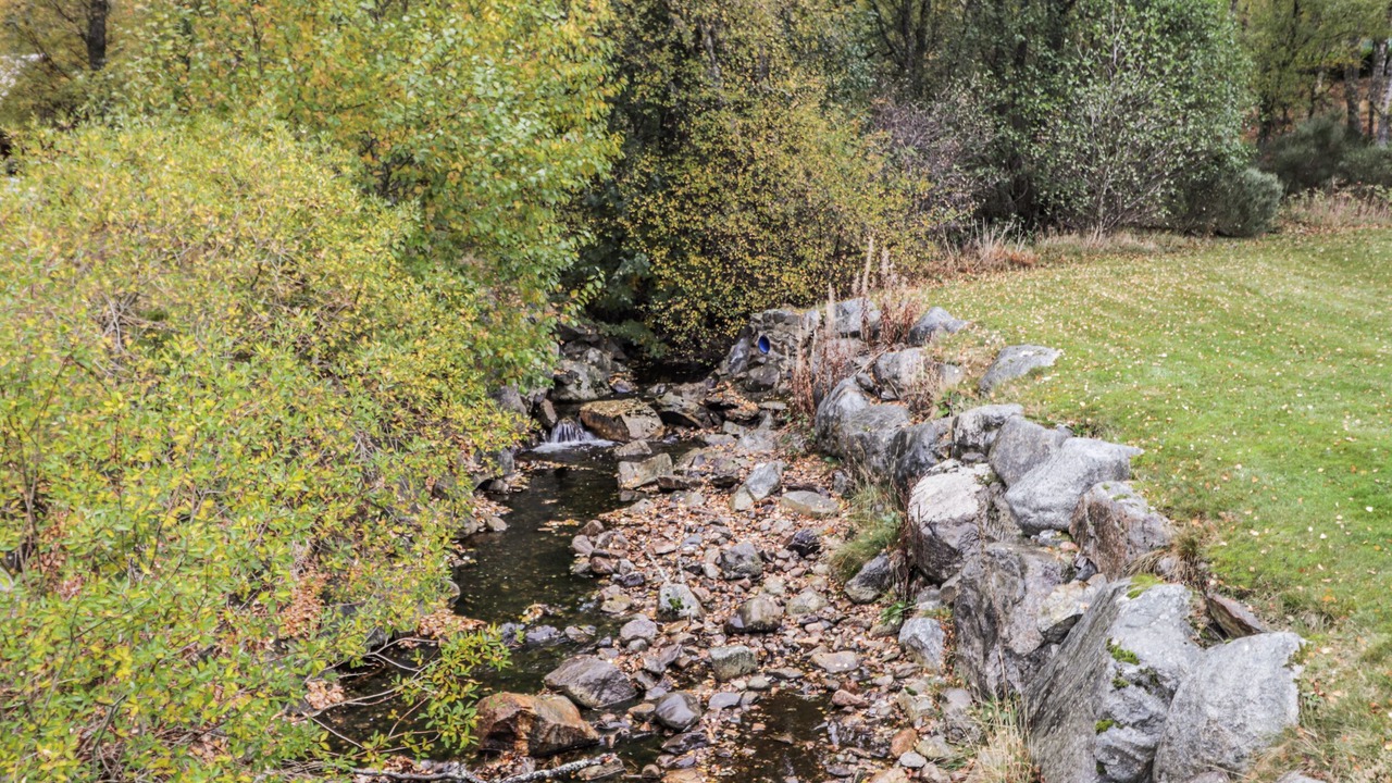 Photo of Others in Aviemore