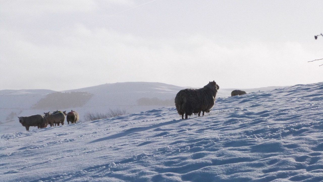 Photo of Others in Gargrave