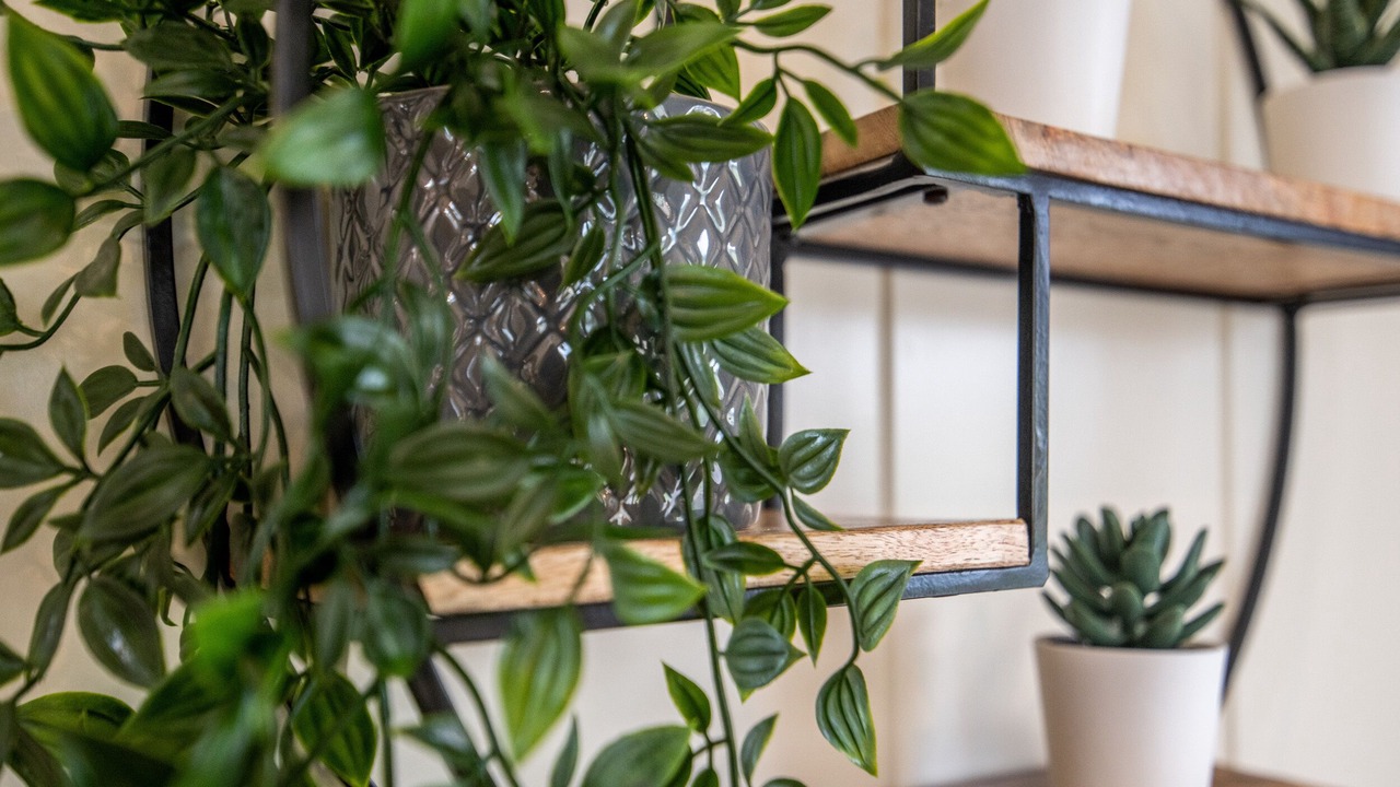 Photo of Others in Gargrave