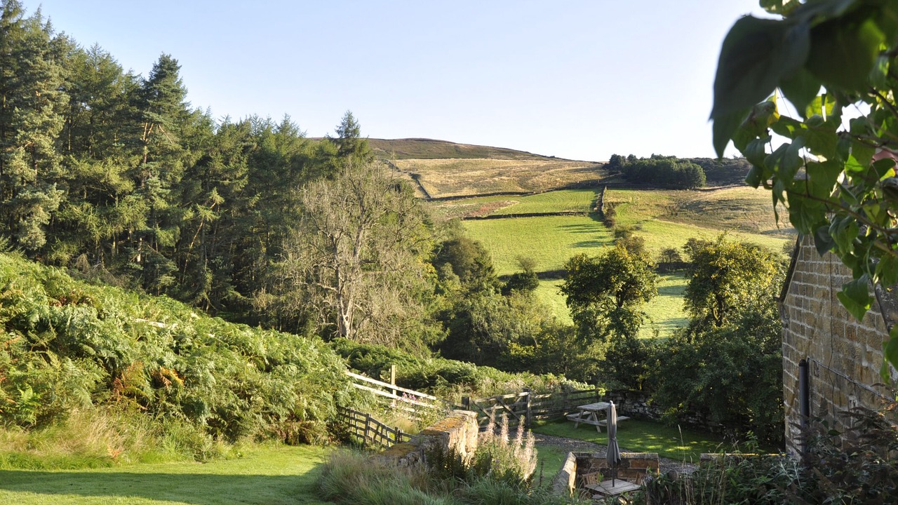 Photo of Others in Chop Gate