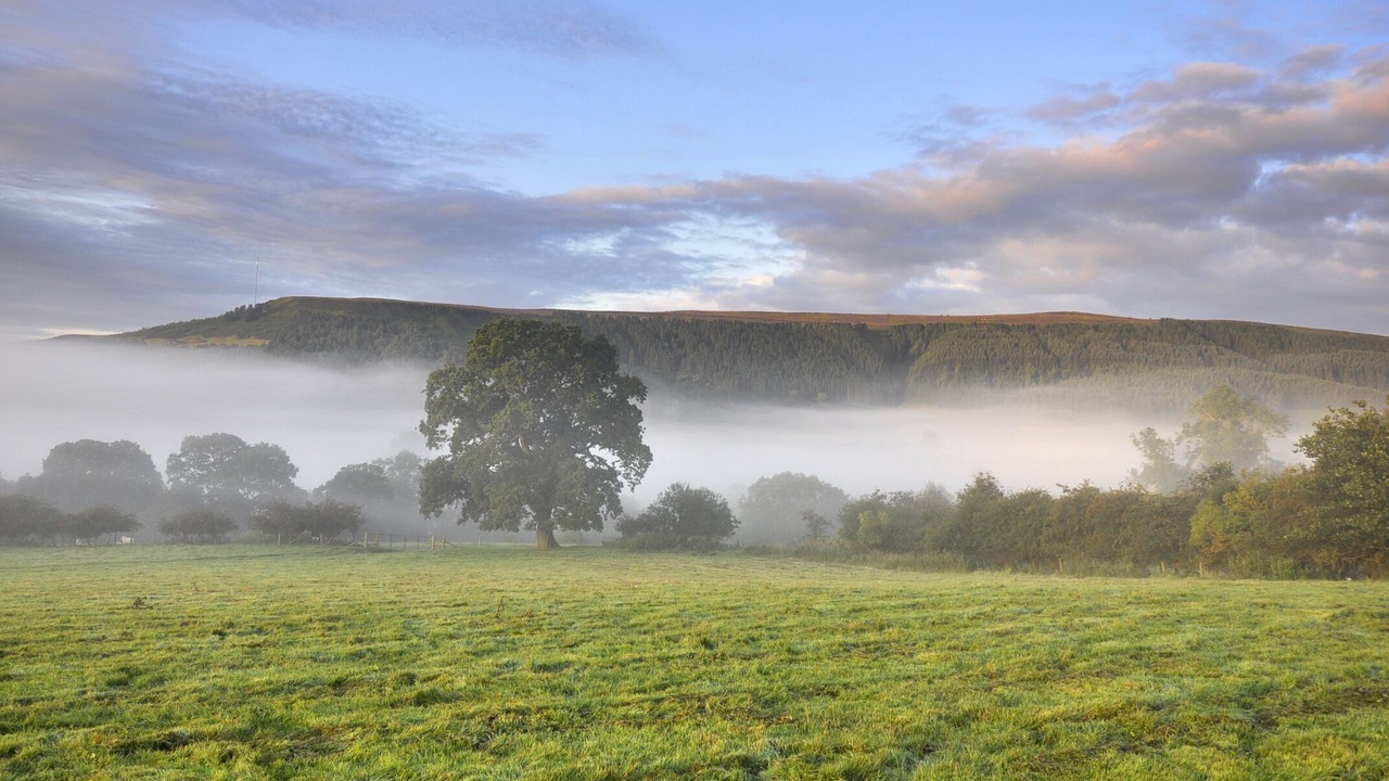 Photo of Others in Chop Gate