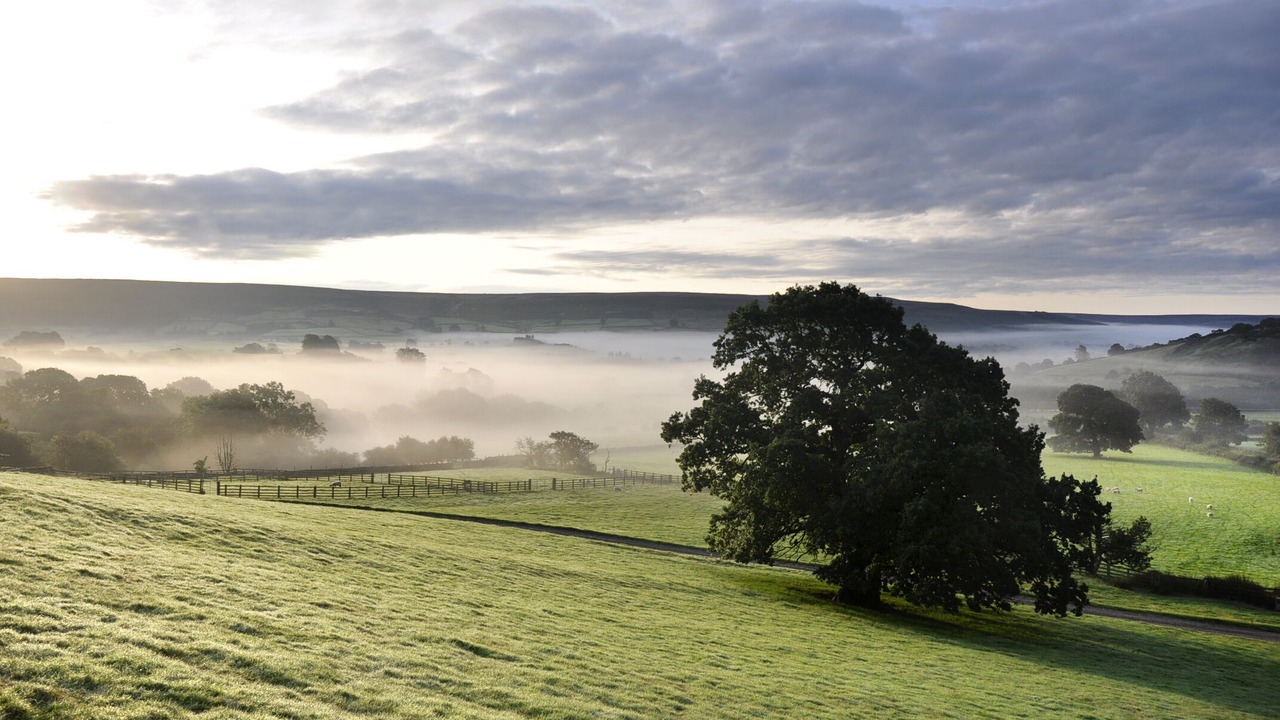 Photo of Others in Chop Gate