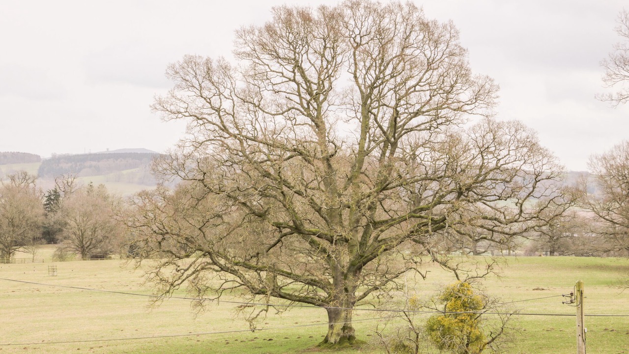 Photo of Others in Diddlebury