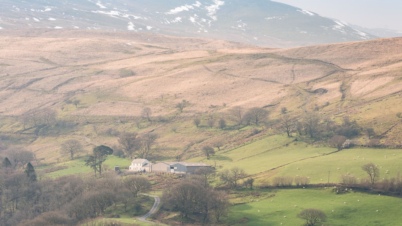 Photo of Others in Glandyfi