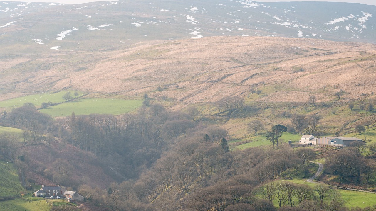 Photo of Others in Glandyfi