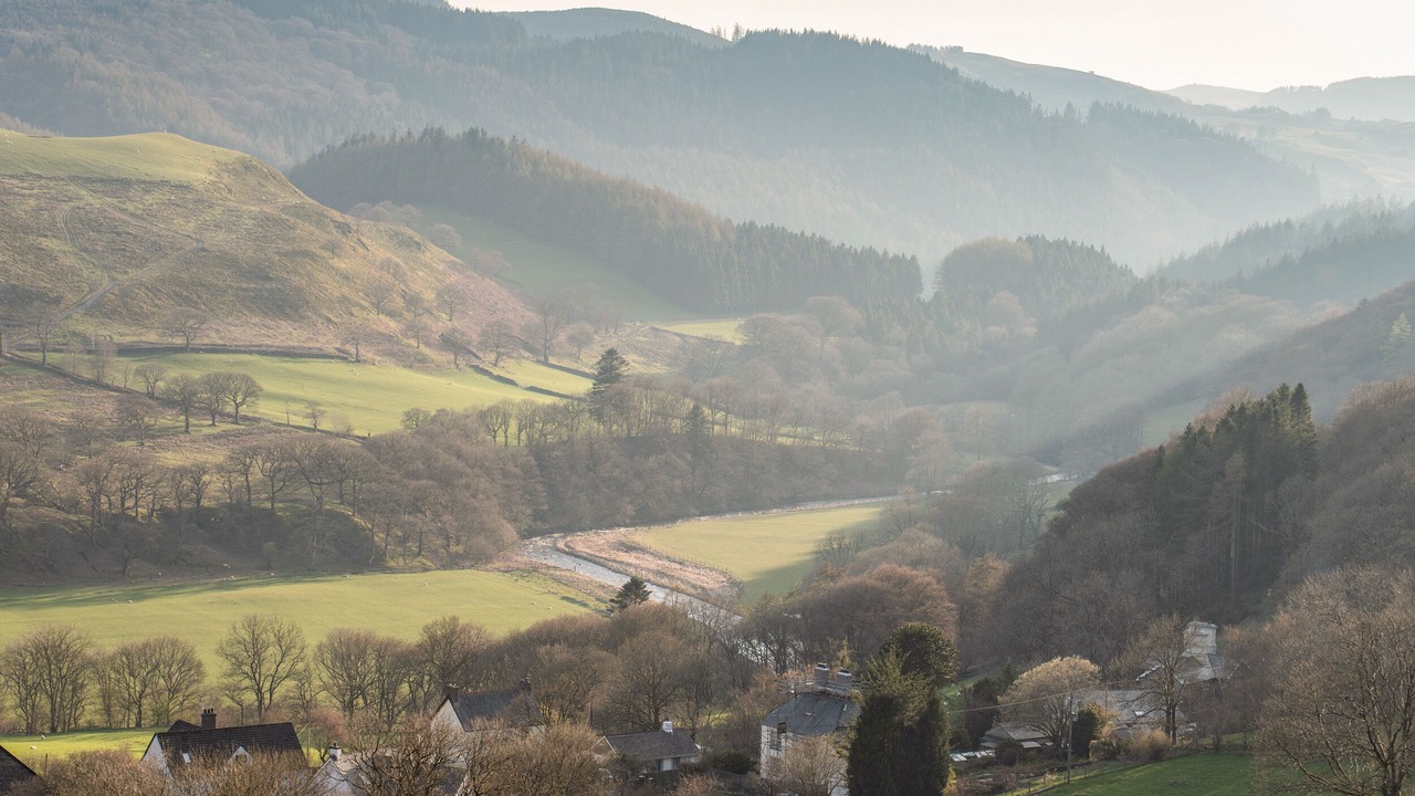 Photo of Others in Glandyfi