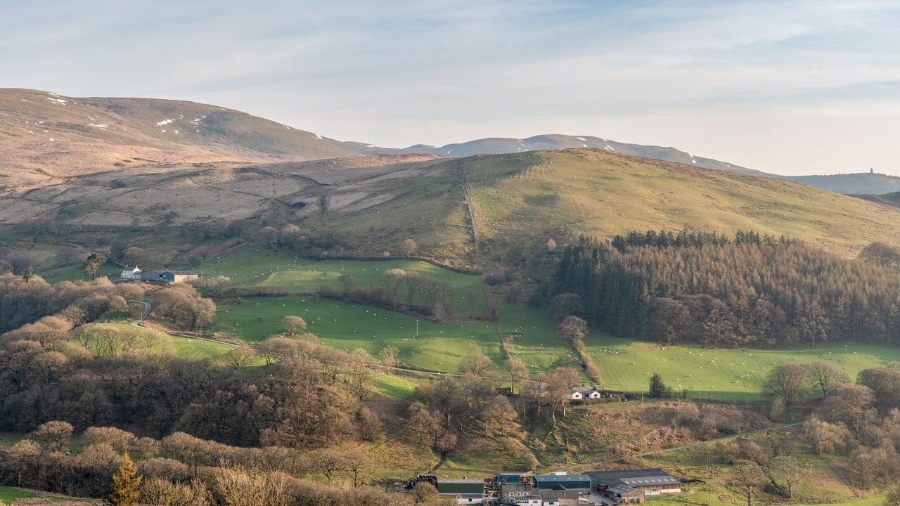 Photo of Others in Glandyfi