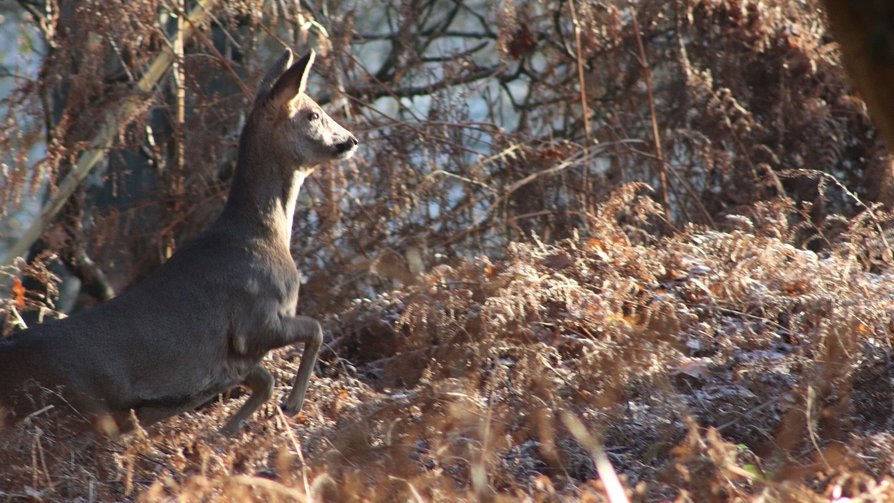 Photo of Others in Wimborne