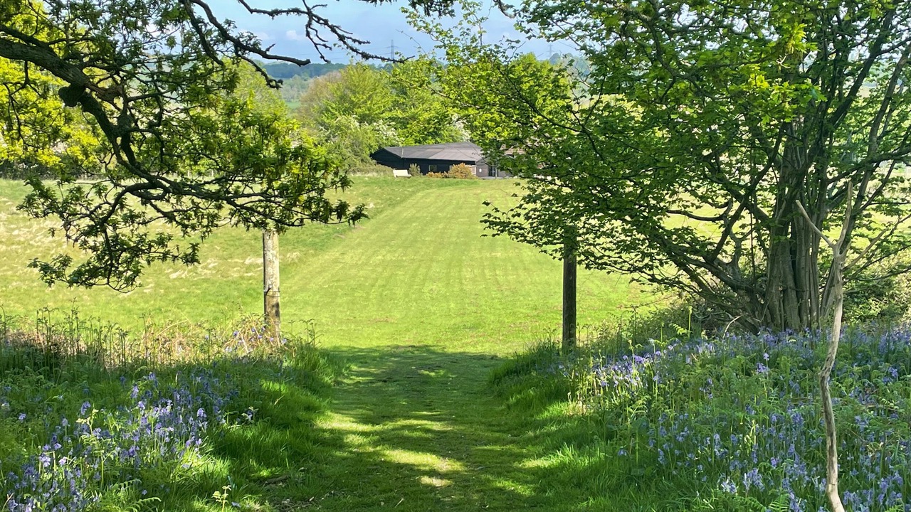 Photo of Others in Wimborne