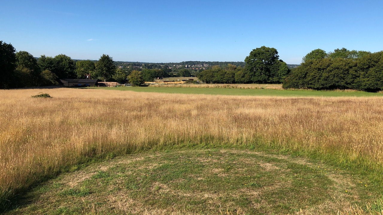 Photo of Others in Wimborne