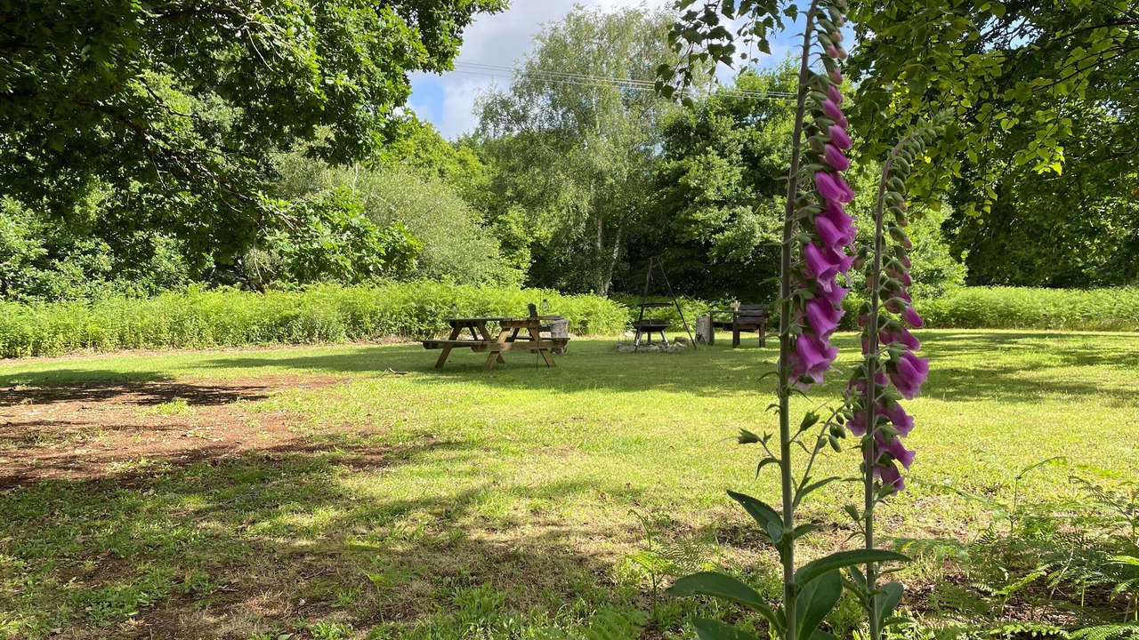 Photo of Others in Wimborne