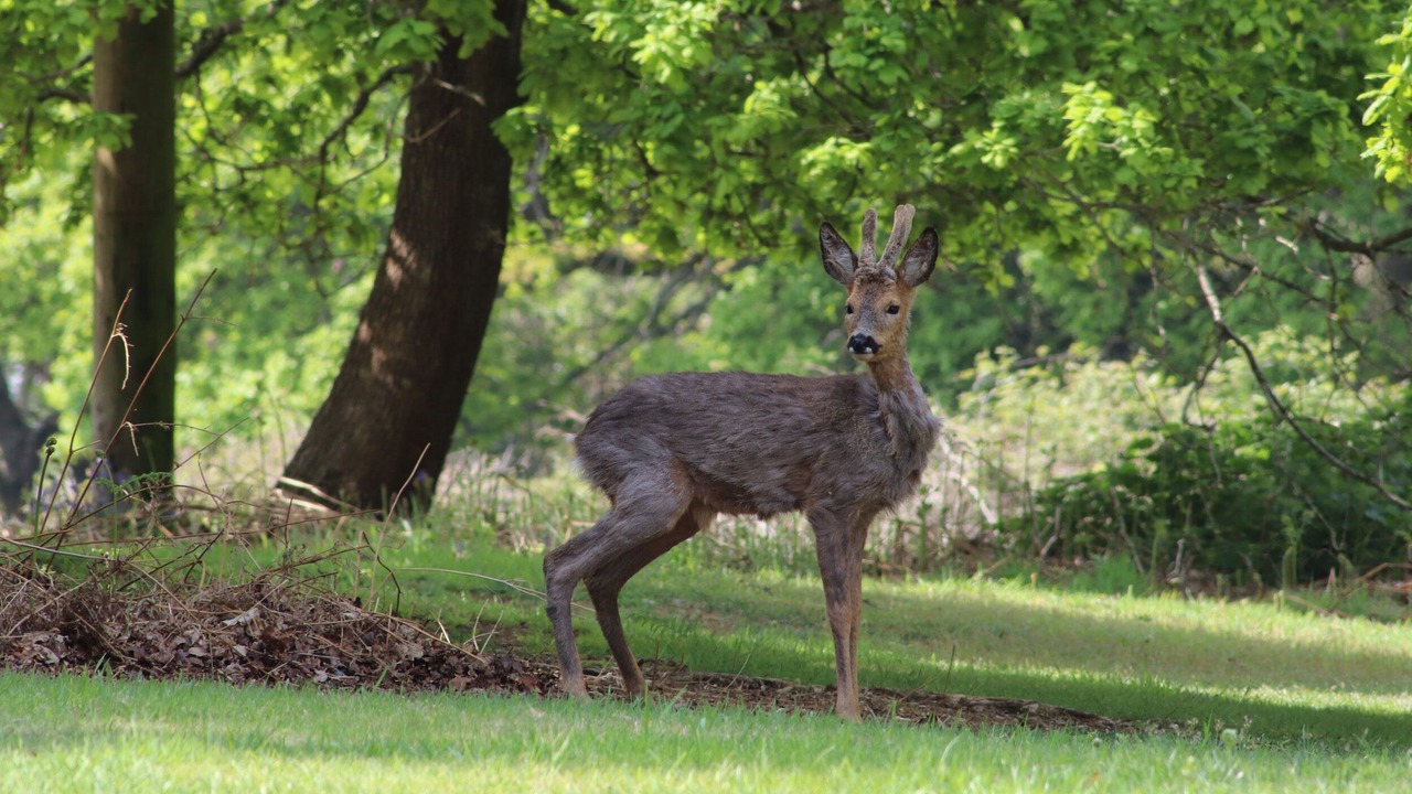 Photo of Others in Wimborne