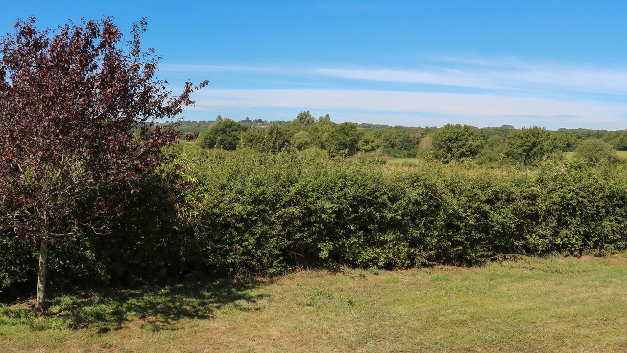 Photo of Others in Kingsley