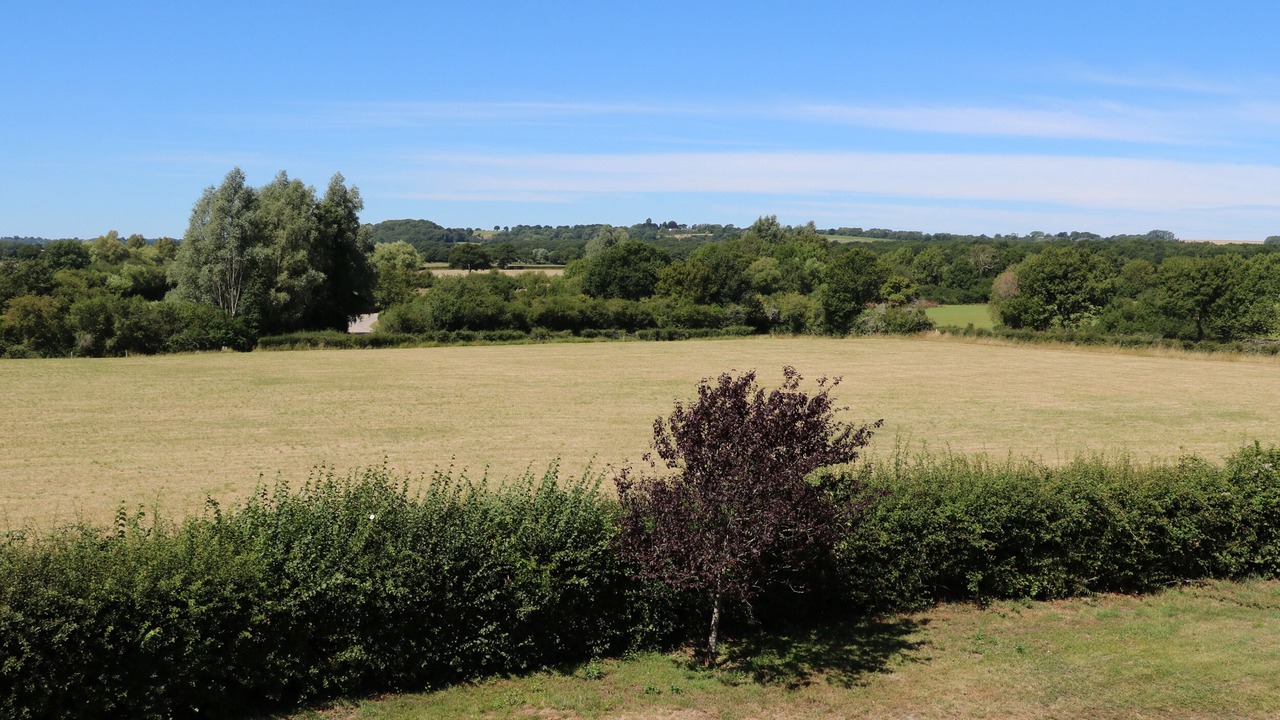 Photo of Others in Kingsley