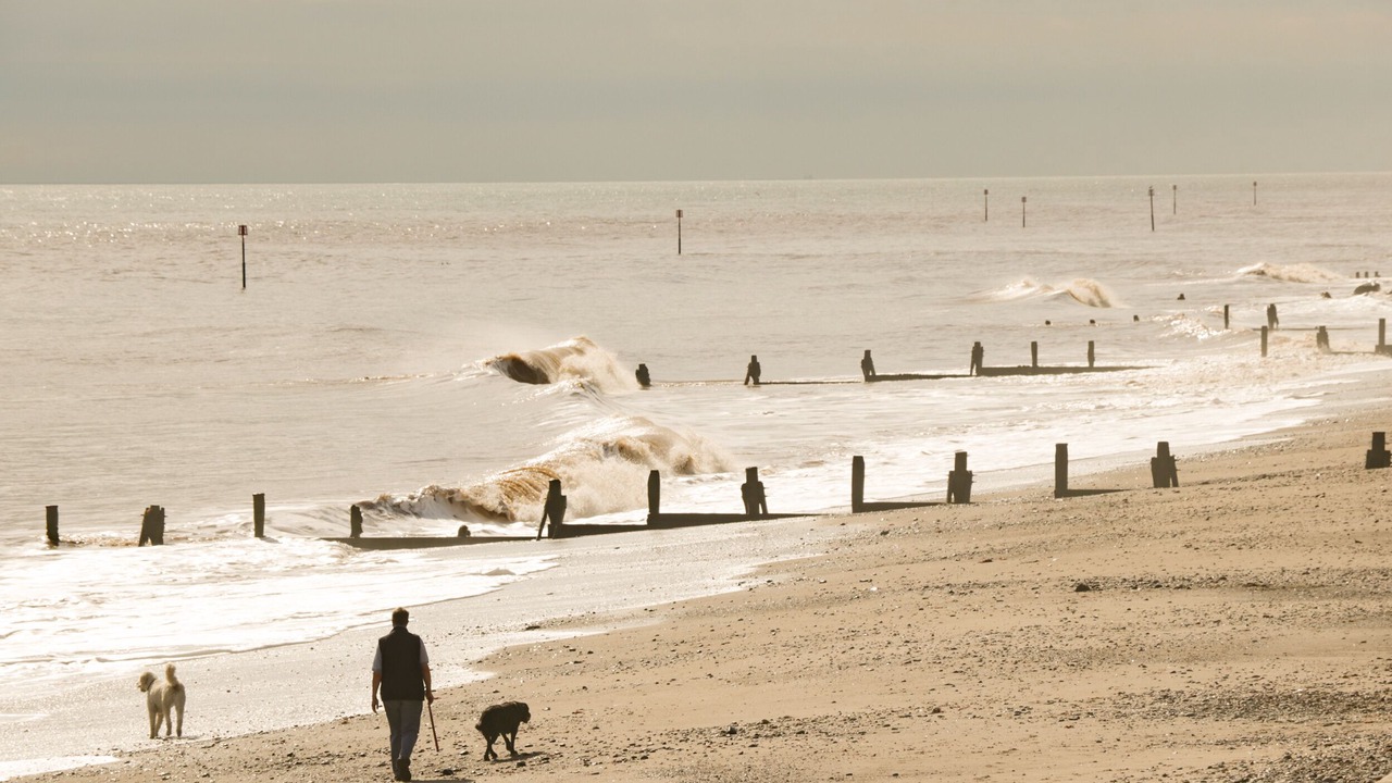 Photo of Others in Tunstall