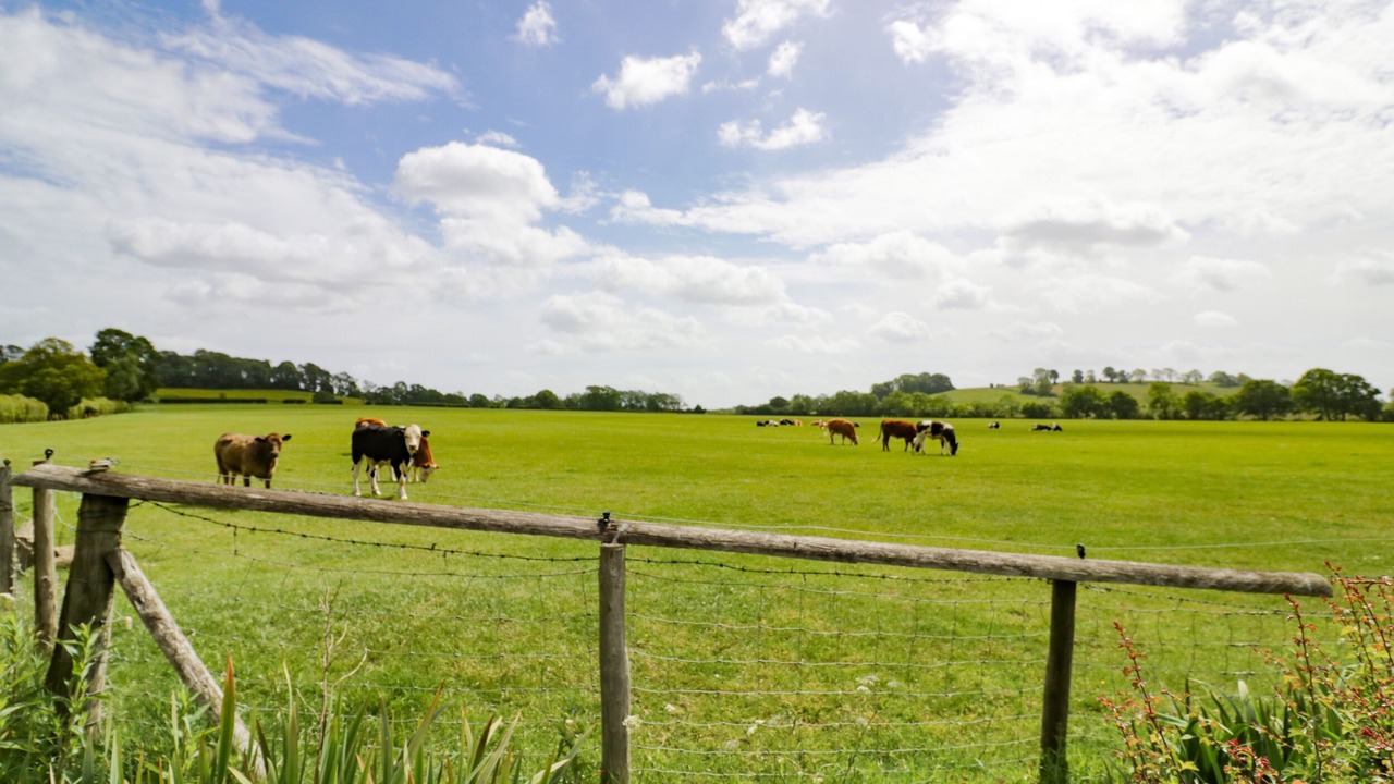 Photo of Others in Hellidon