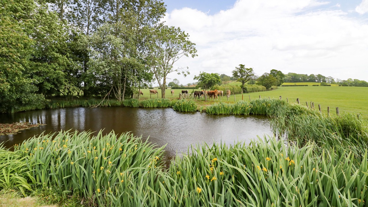 Photo of Others in Hellidon