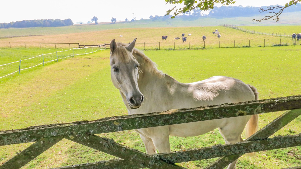 Photo of Others in Matfen