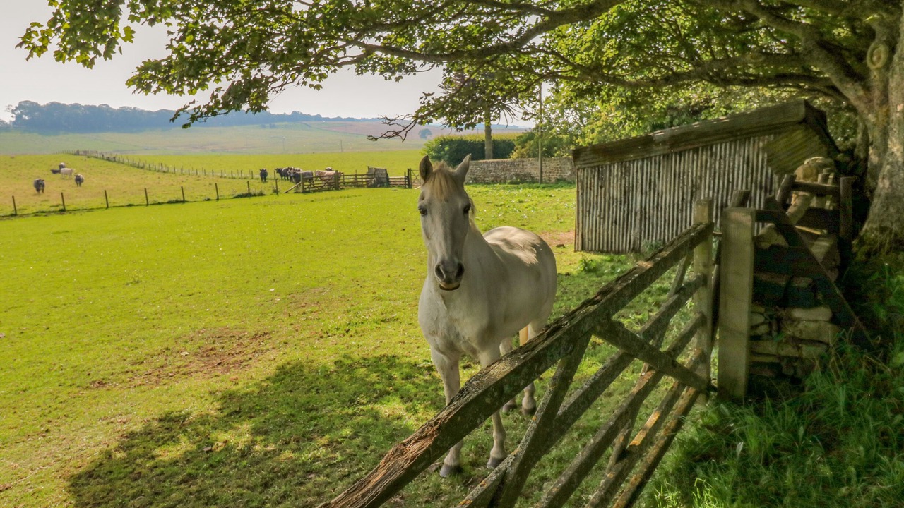 Photo of Others in Matfen