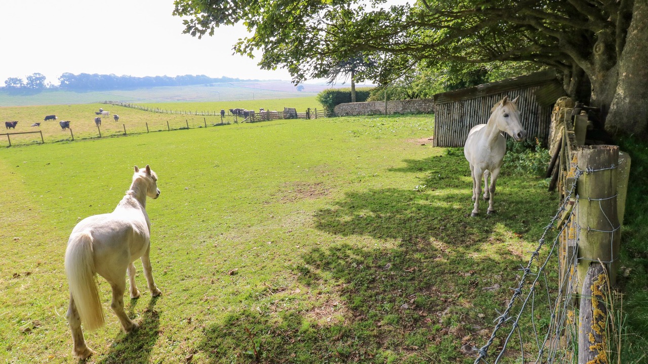 Photo of Others in Matfen