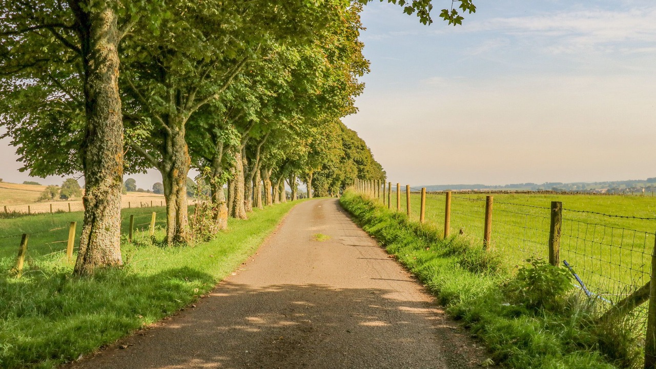 Photo of Others in Matfen