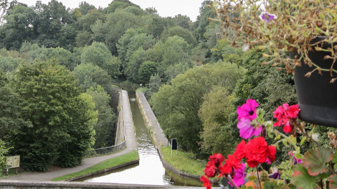 Photo of Others in Whitchurch