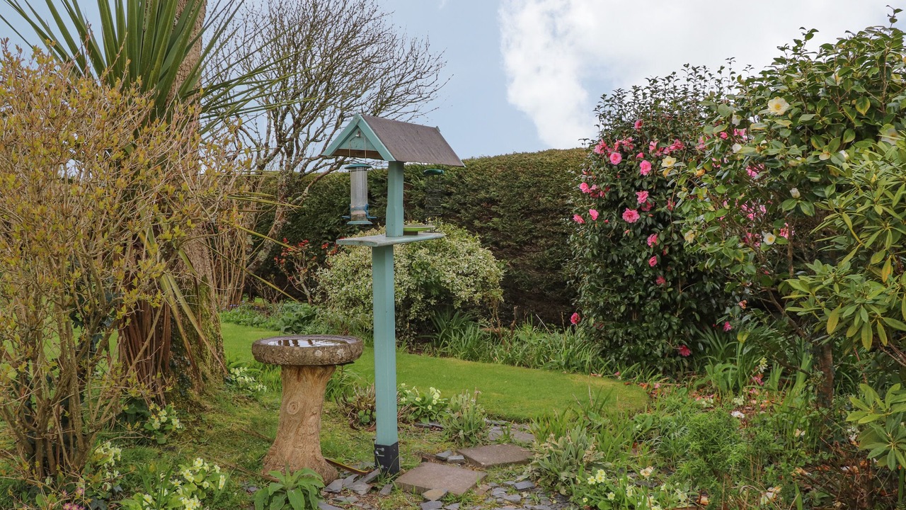 Photo of Others in Truro