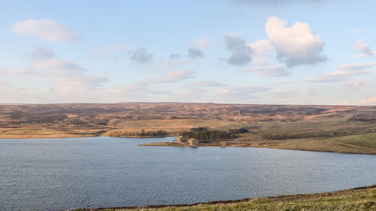 Photo of Others in Lofthouse