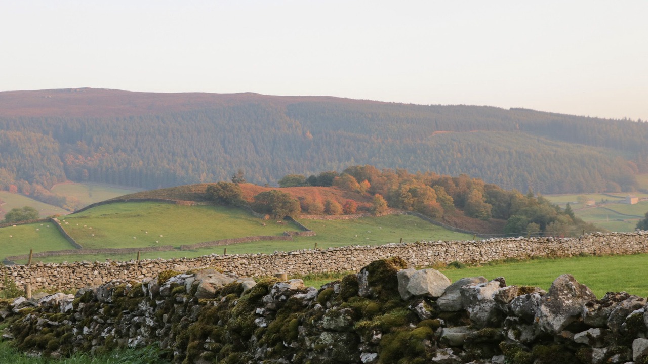 Photo of Others in Lofthouse