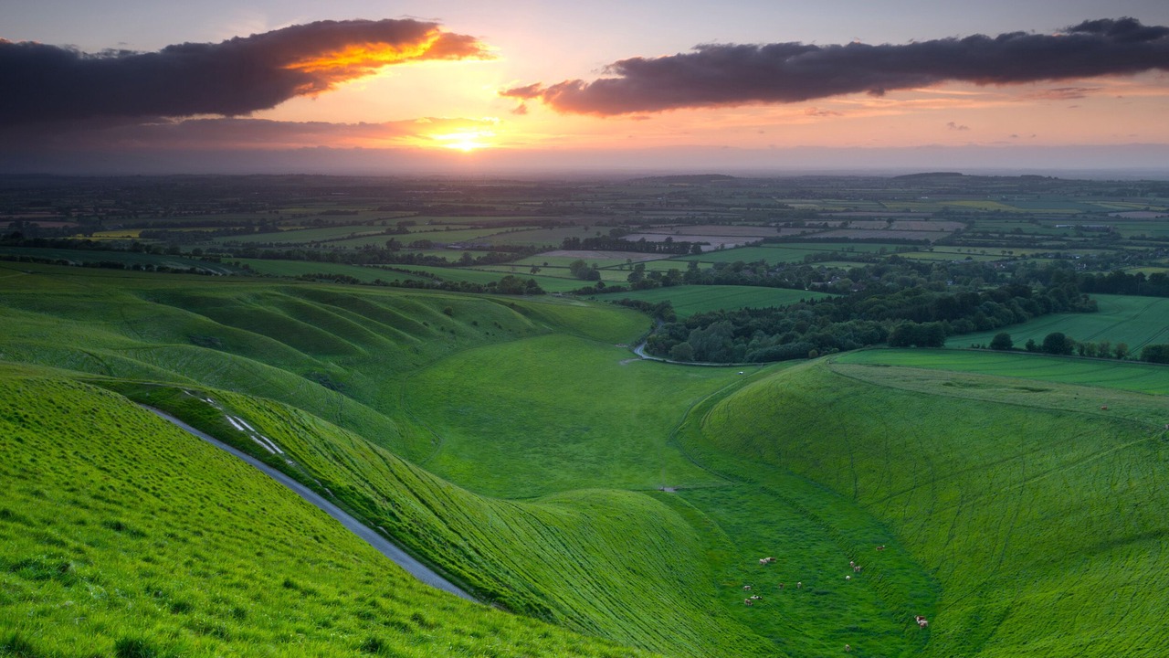 Photo of Others in Ascot