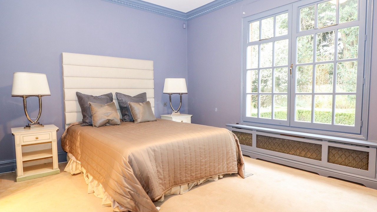 Photo of Others in Ascot