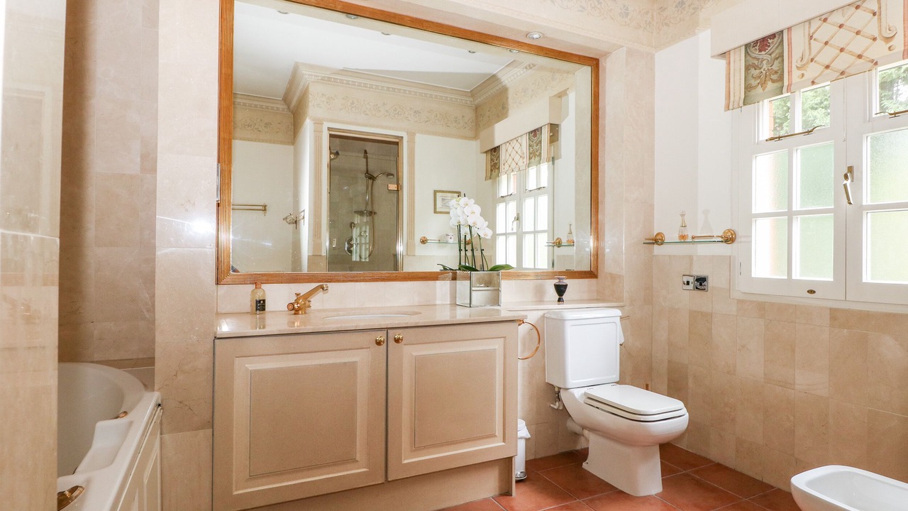 Photo of Others in Ascot