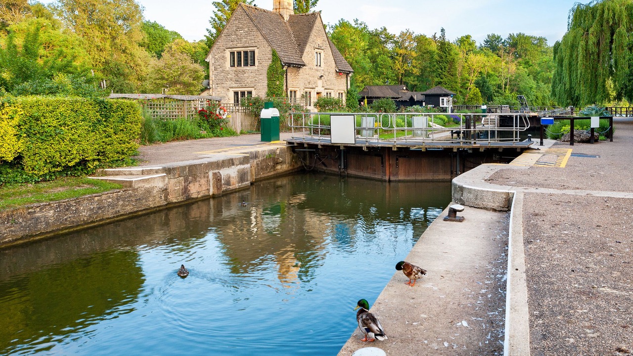 Photo of Others in Ascot